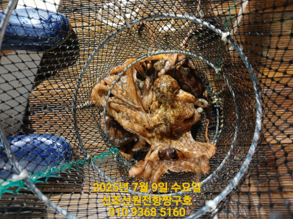 KakaoTalk_20250710_015442852_03.jpg