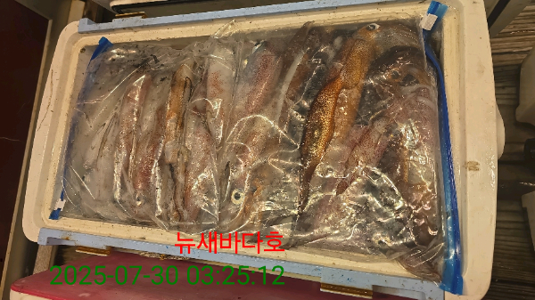 8f642c12325c401bab5dfbe9f8760106.jpg