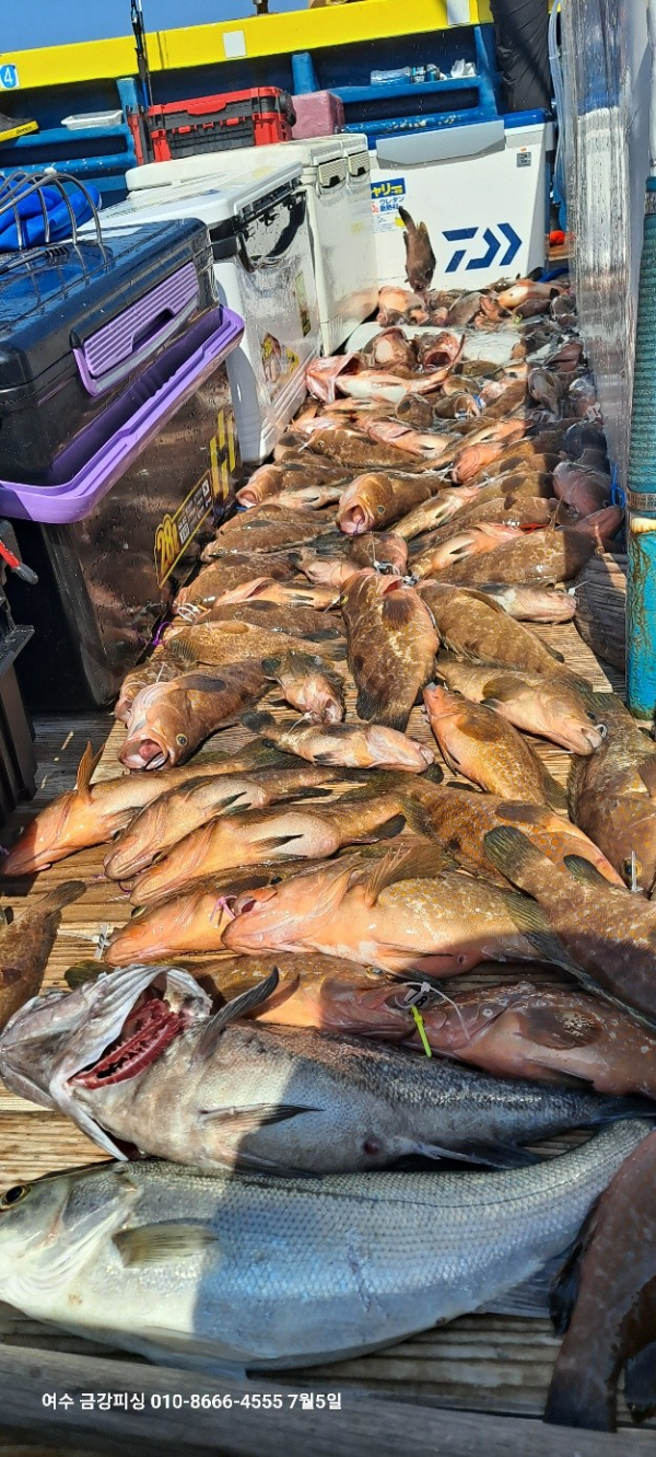 여수금강피싱_사진_20250705_2.jpg