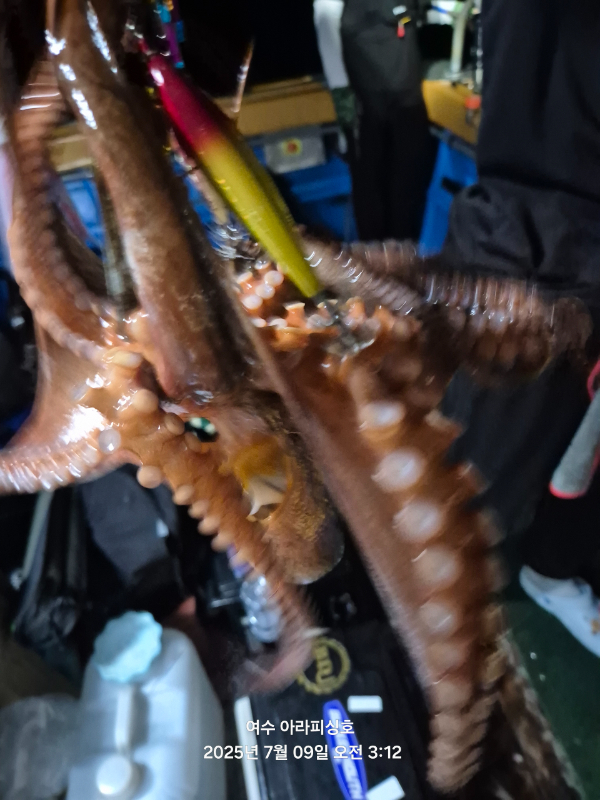 Resized_20250709_031245.jpeg