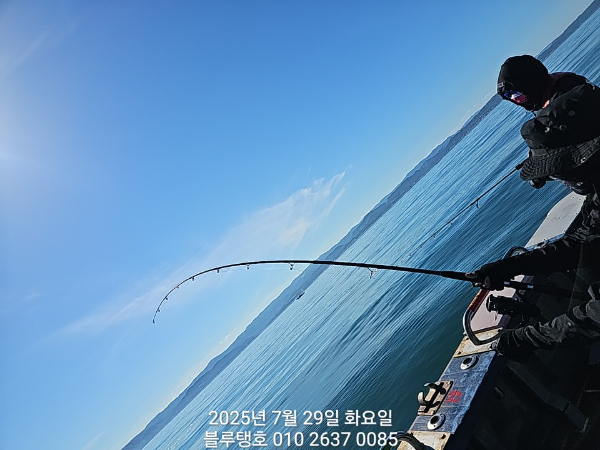 20250729_155213.jpg