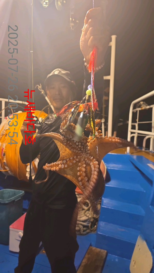 91ff17a3af42728653d9bbf3c3ad2a1d.jpg