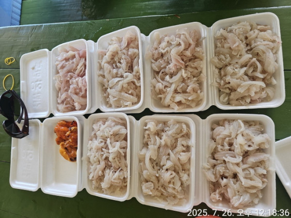 [크기변환]공현진낚시마트(돌핀호)_사진_20250726_13.jpeg