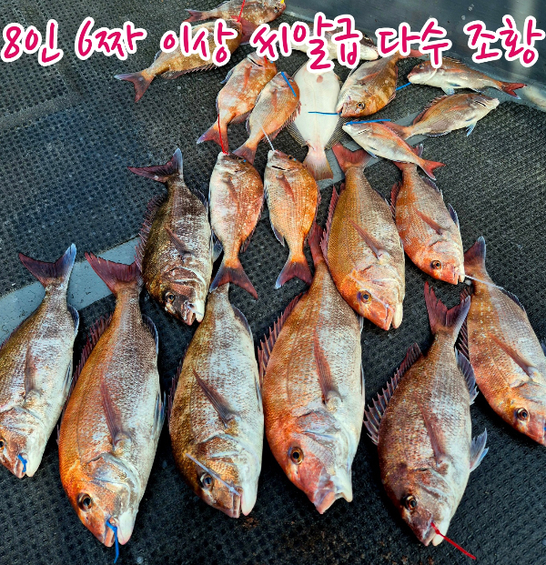 batch_KakaoTalk_Image_2025-07-12-02-59-34_002.jpg