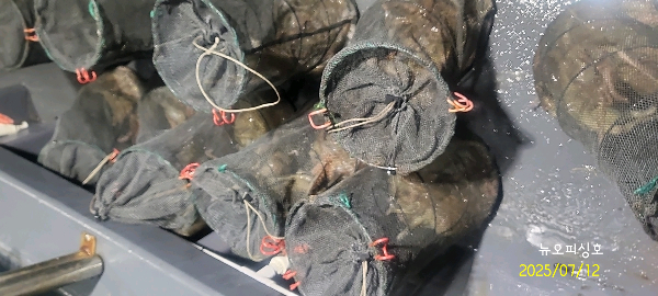 DateCamera0712231841.jpg