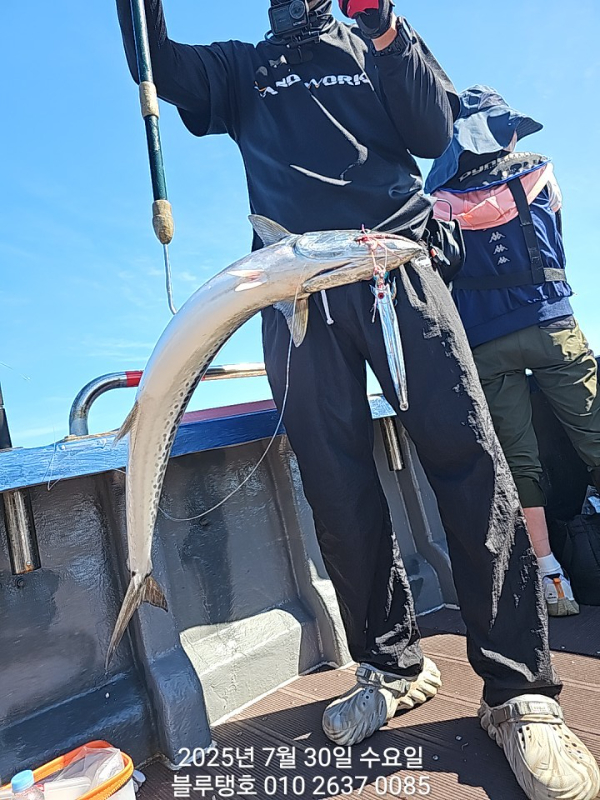 20250730_154916.jpg