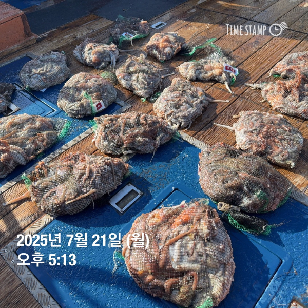 1000031546.jpg
