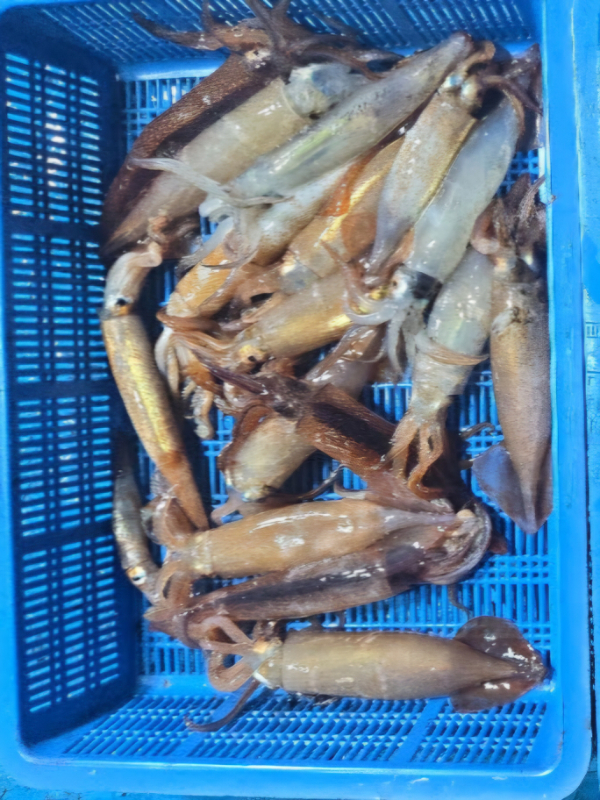 KakaoTalk_20250702_061442999_05.jpg