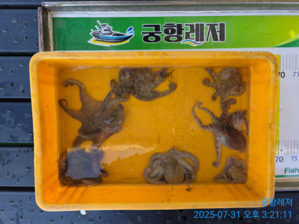 궁항레저_사진_20250731_3.jpg