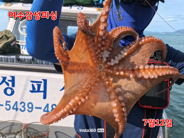 97c4e6b94544d28dc48d6aa6454e8ae3.png