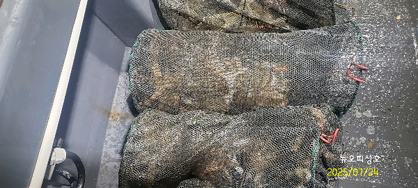 DateCamera0724223438.jpg
