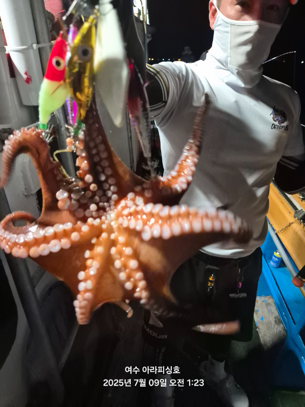 Resized_20250709_012343.jpeg