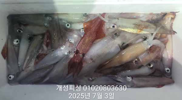 9834c470fadc6afd8ae87b44c94b0817.jpg
