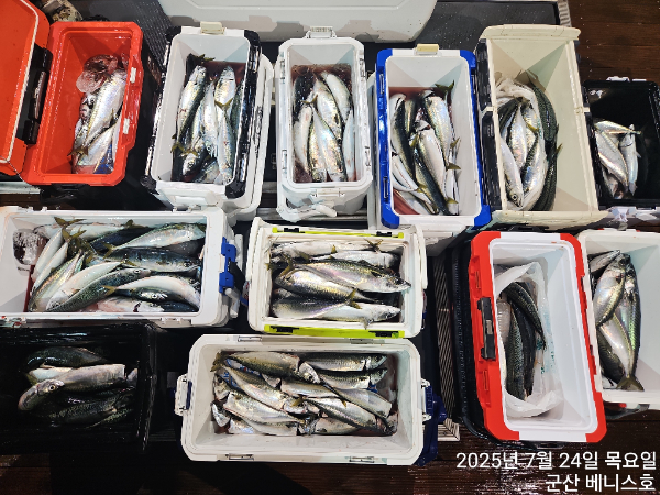 9864c8edae714b9afab60a34ba48bc23.jpg