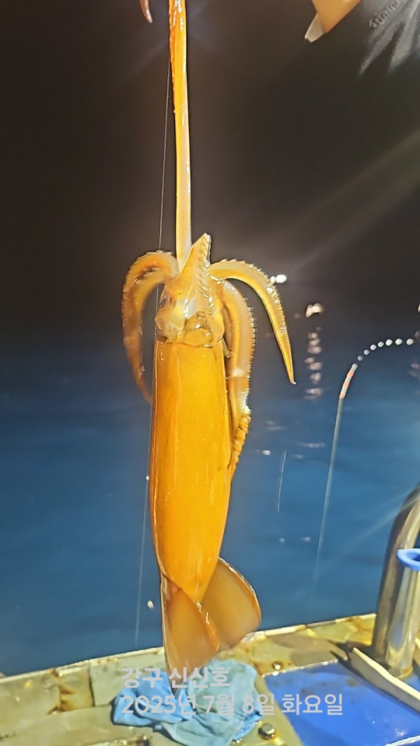 신신낚시 강구점 신신호_사진_20250708_8.jpg