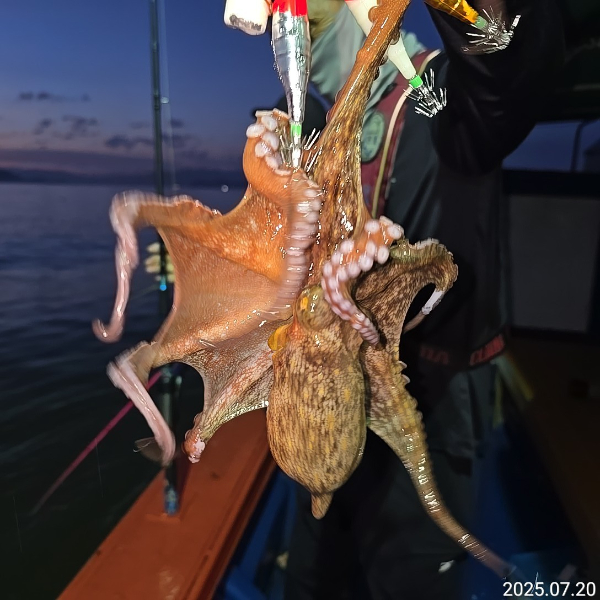 성진피싱 (진해 수도)_사진_20250721_2.jpg