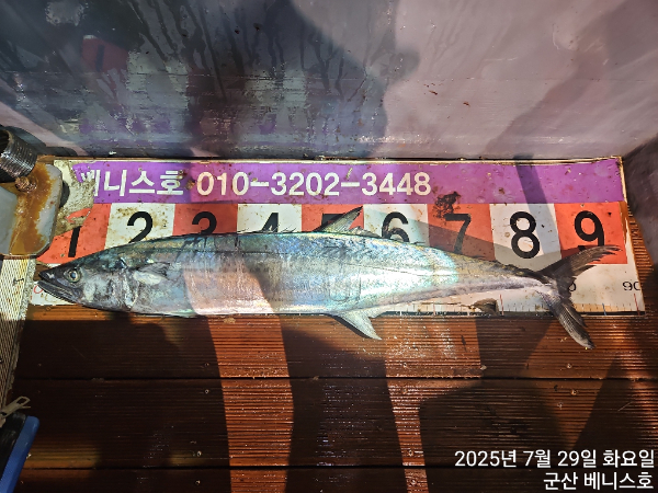 KakaoTalk_20250729_040224431_01.jpg