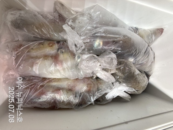 7월8일한치 (3)-tile.jpg