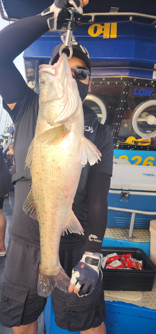 예지퀸호 농어외수질&어초낚시 경기인천권_사진_20250724_9.jpg
