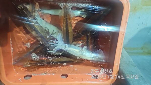 신신낚시 강구점 신신호_사진_20250724_9.jpg