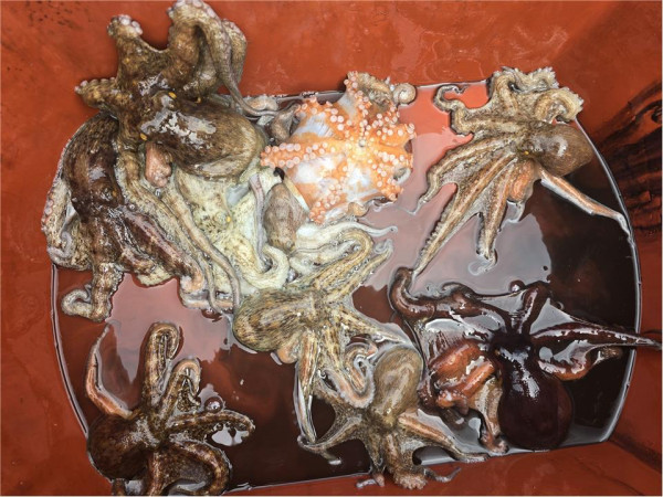 슬라이드0006.jpg
