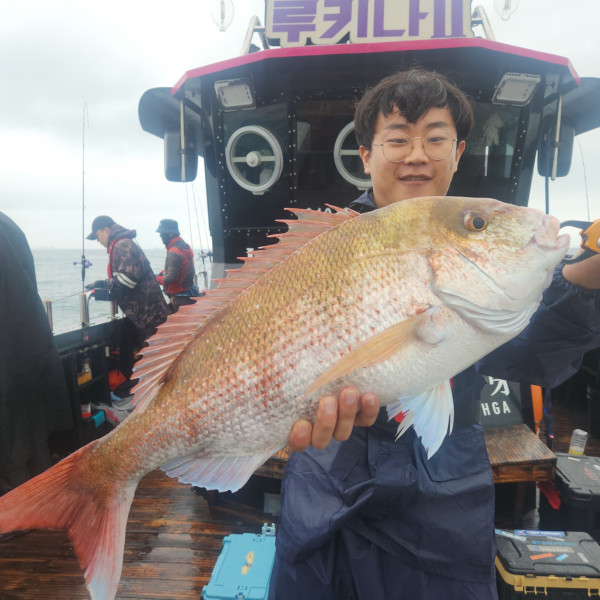 9c513b358de6087981fe1e678b440417_mini.jp