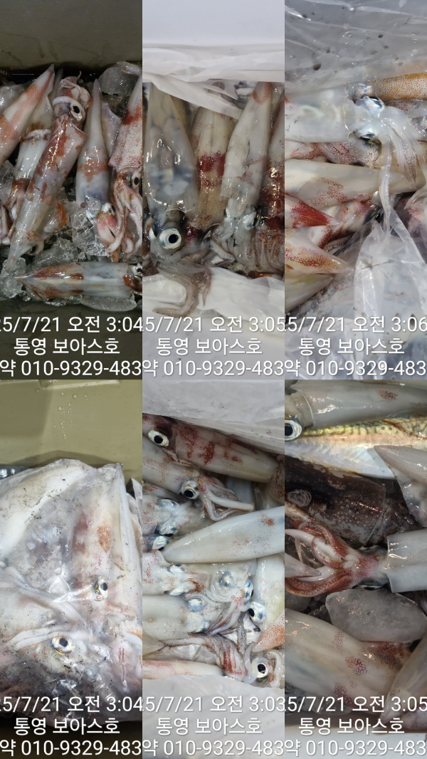 9cdcd6f653521e1ae7187cdd56501995.jpg