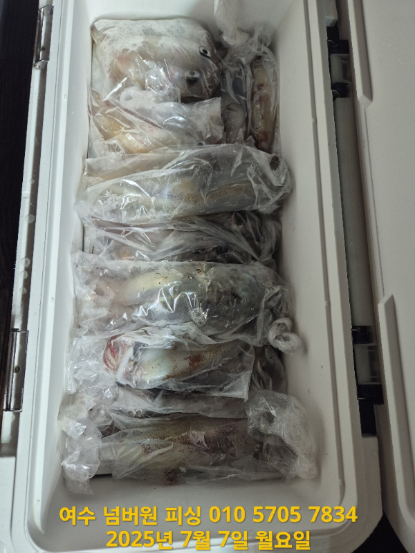 KakaoTalk_20250707_051657960_14.jpg