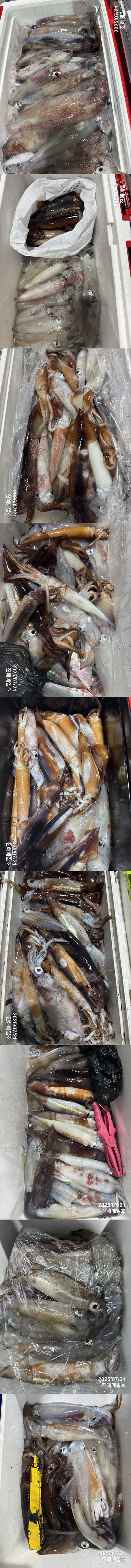 왕한치2.jpg