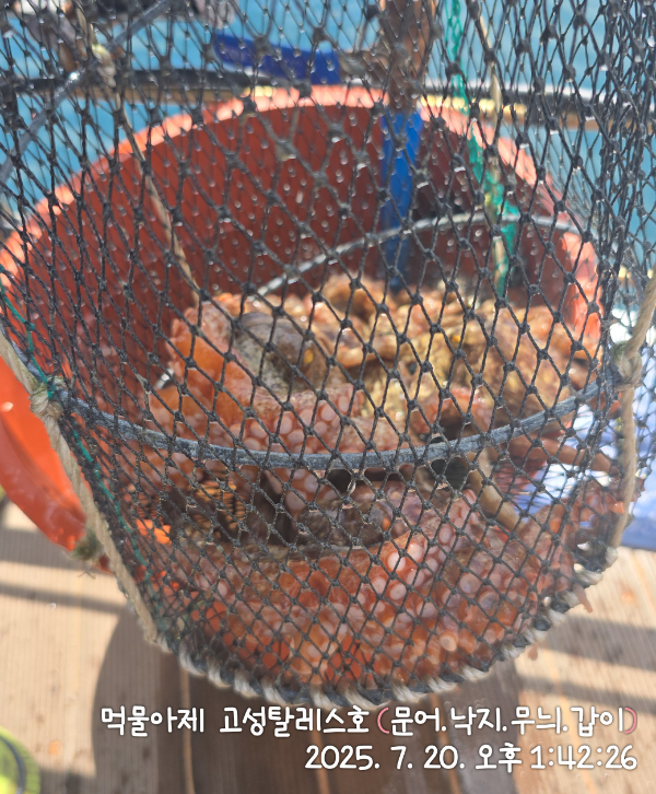 IMG_20250720_134226.jpg