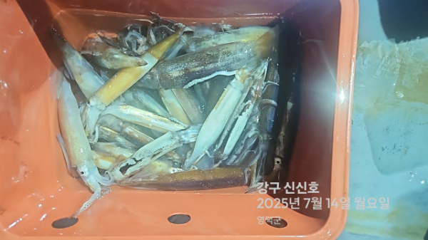 신신낚시 강구점 신신호_사진_20250714_5.jpg