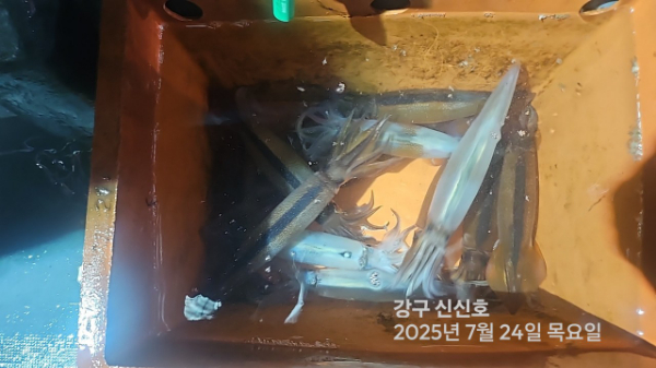 신신낚시 강구점 신신호_사진_20250724_19.jpg