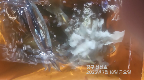 신신낚시 강구점 신신호_사진_20250718_9.jpg