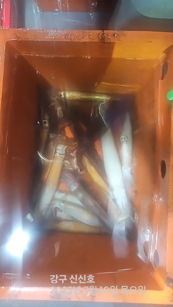 신신낚시 강구점 신신호_사진_20250710_10.jpg