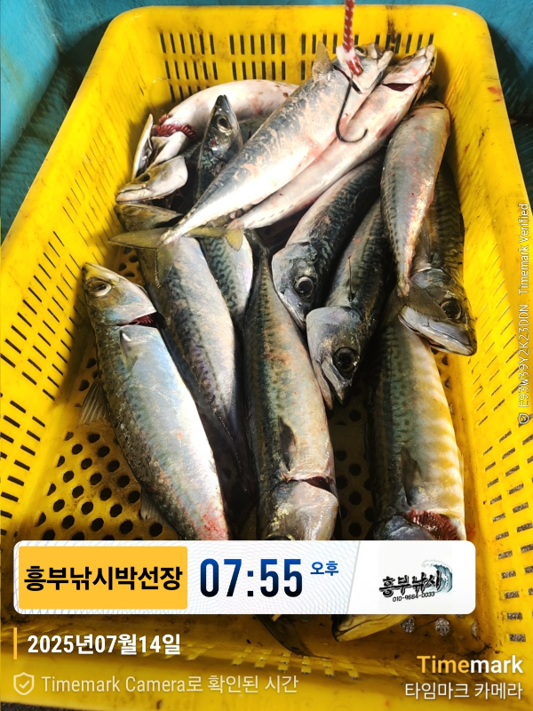 a32f12da05bbdbf497b3ac06d843b4da.jpg