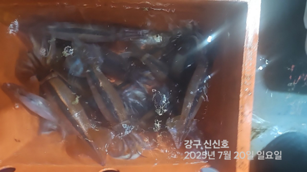 신신낚시 강구점 신신호_사진_20250720_18.jpg