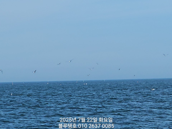 20250722_144001.jpg