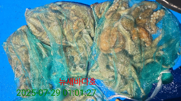 a4d635d16dc5fed9b40b5a070cb3e4be.jpg