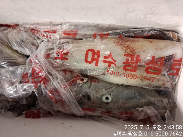 KakaoTalk_20250705_090822041_17.jpg