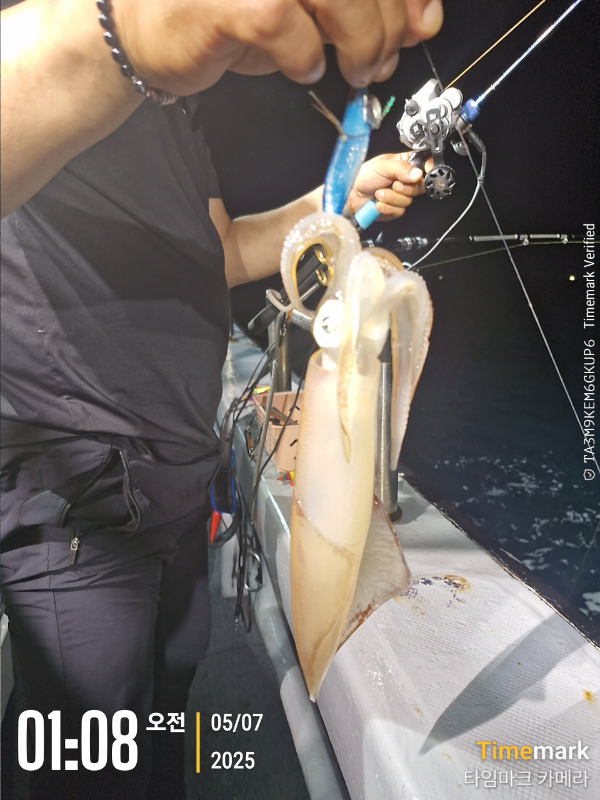 2025-07-05 01.08.09_.jpg