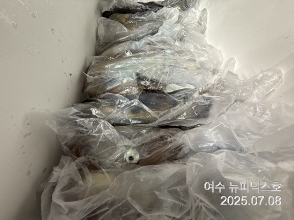 7월8일한치 (34).jpg