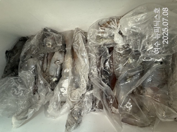 7월8일한치 (12)-tile.jpg