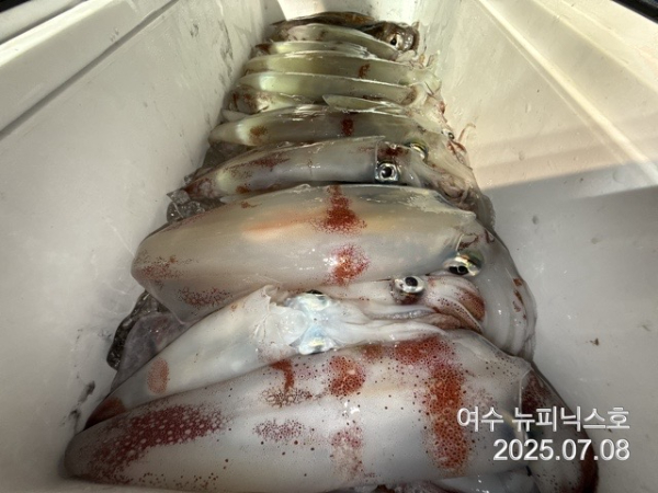 7월8일한치 (5).jpg