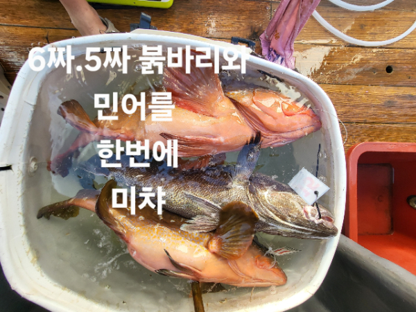 a762c9ecf203650b623f3b3ab6c87f38.jpg