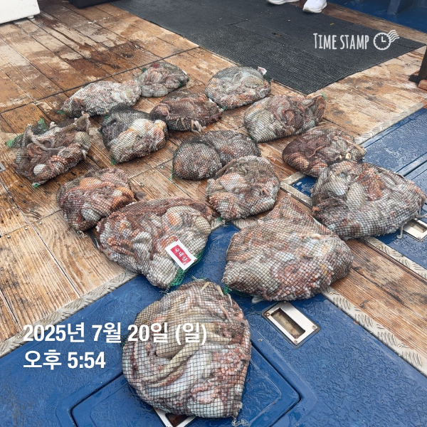 1000031395.jpg