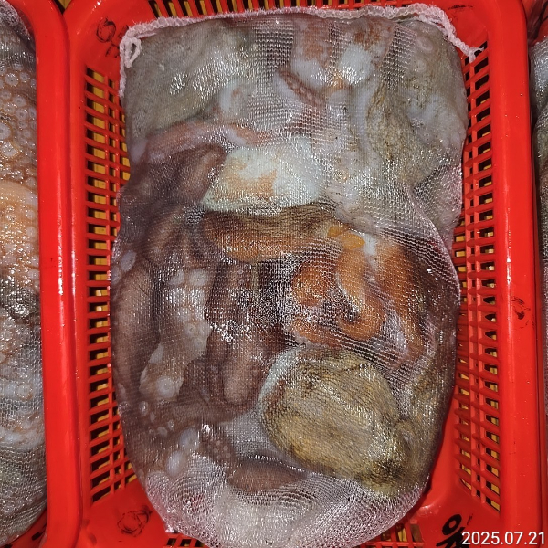 성진피싱 (진해 수도)_사진_20250721_10.jpg