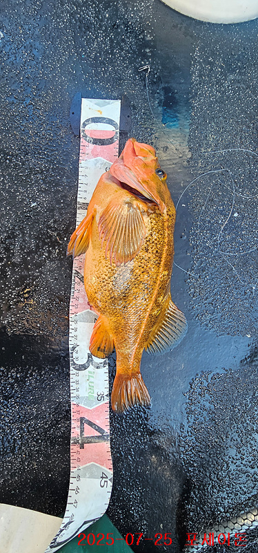 a7d15fda1ec7733576f9bdf4405f6e08.jpg