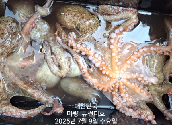 a912a676a42e77e59c404211bd9902e2.jpg