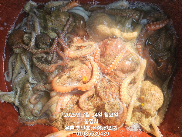 a93d26fc451fc1058c1948a88066c179.jpg