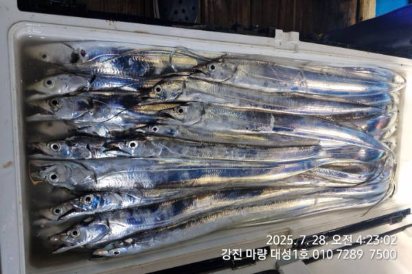 a99c77adacf727c7ed99875e10917baf.jpg